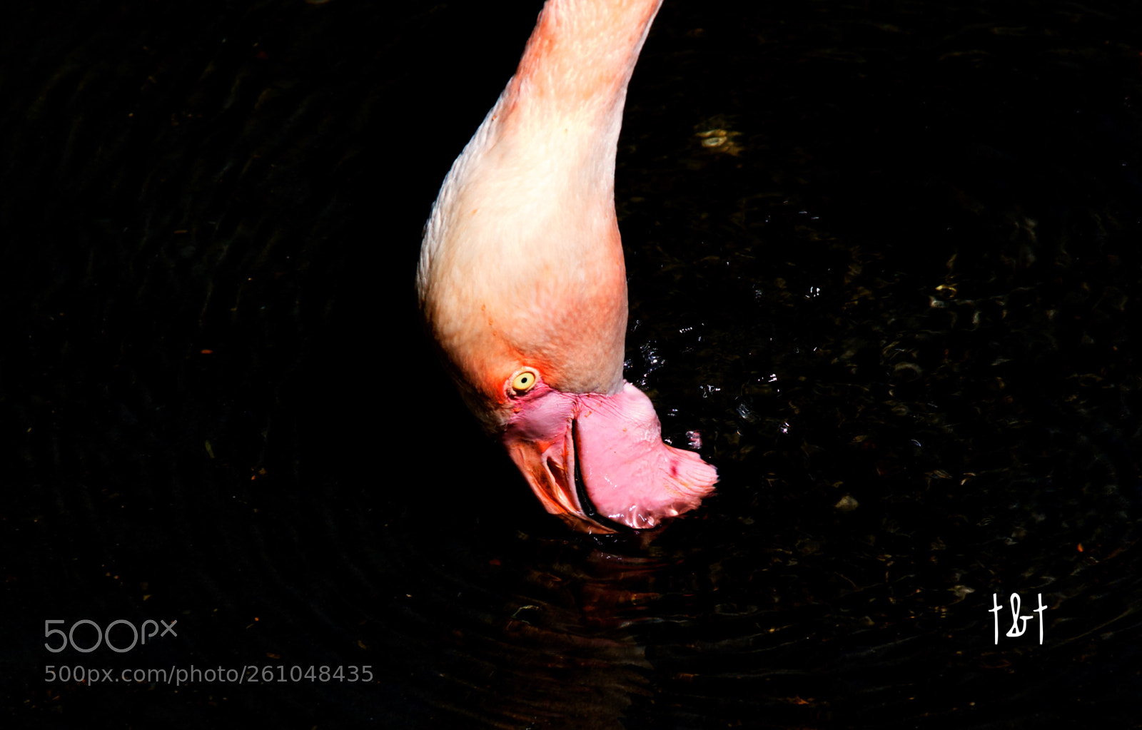 Canon EOS 7D sample photo. Untitled photography