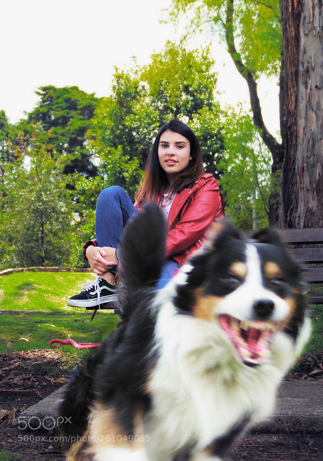 Canon EOS 60D sample photo. El temperamento photography