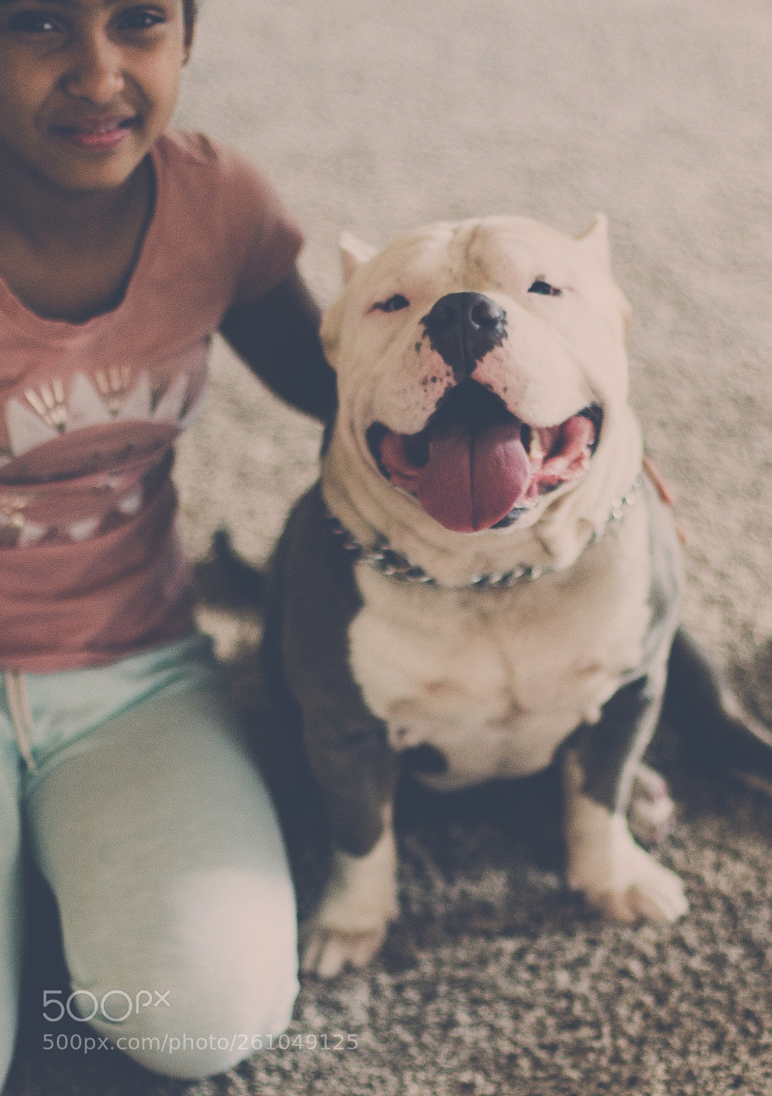 Canon EOS 700D (EOS Rebel T5i / EOS Kiss X7i) sample photo. Dexter the bully photography