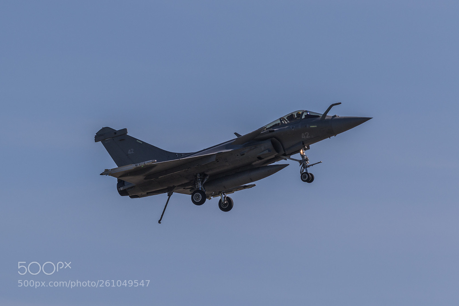 Canon EOS 7D Mark II sample photo. Rafale hook down photography