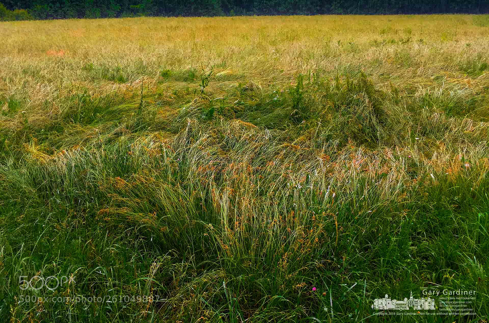 Apple iPhone 6 Plus sample photo. Braun farm hay after photography