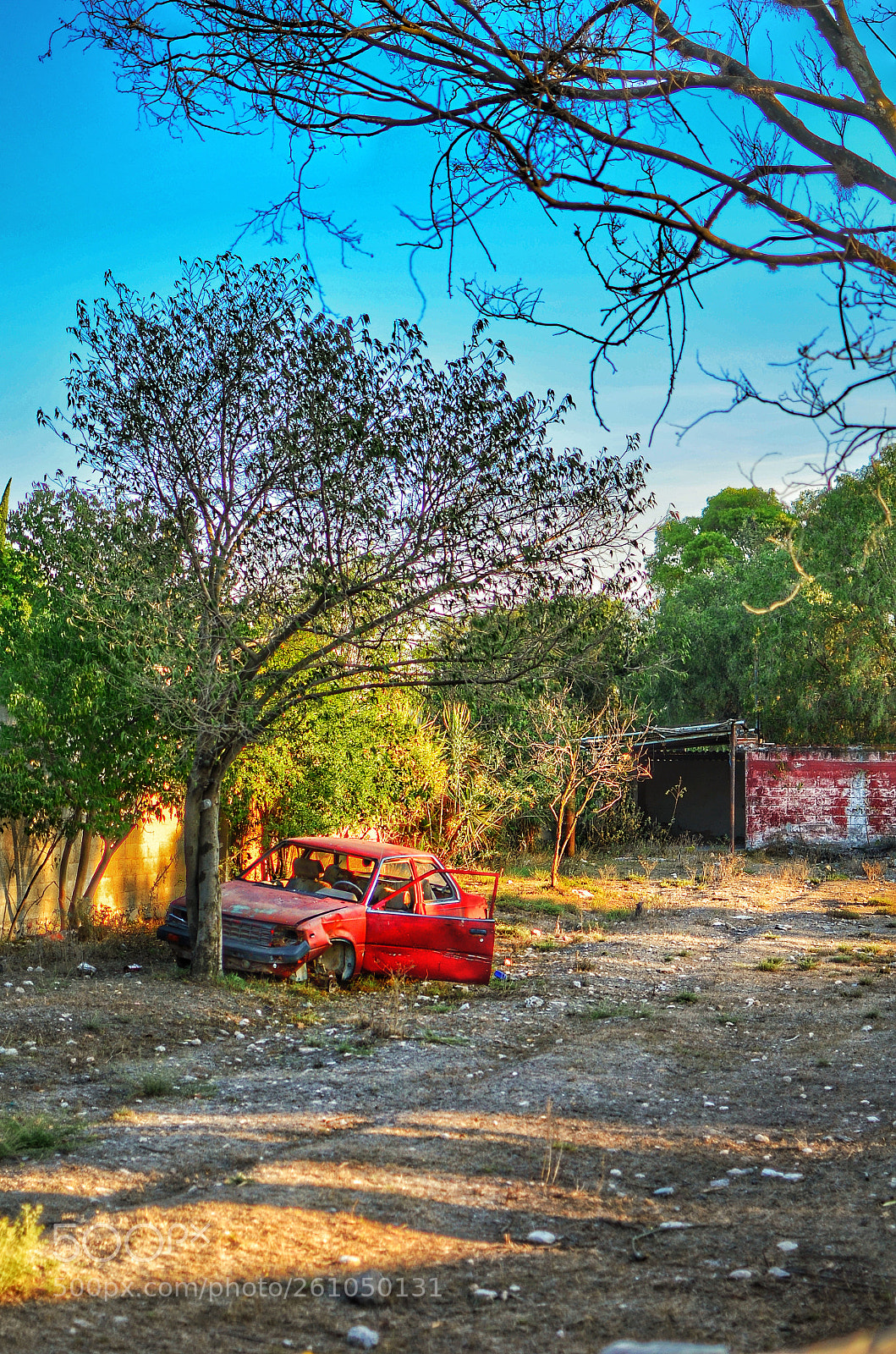 Nikon D5100 sample photo. Untitled photography