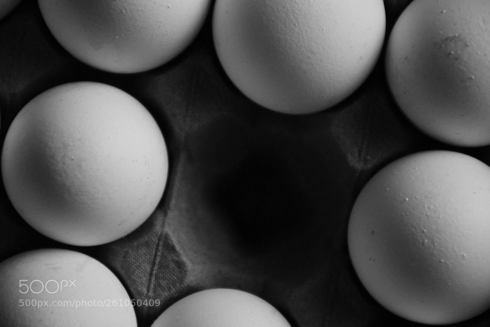 Nikon D7200 sample photo. Untitled photography