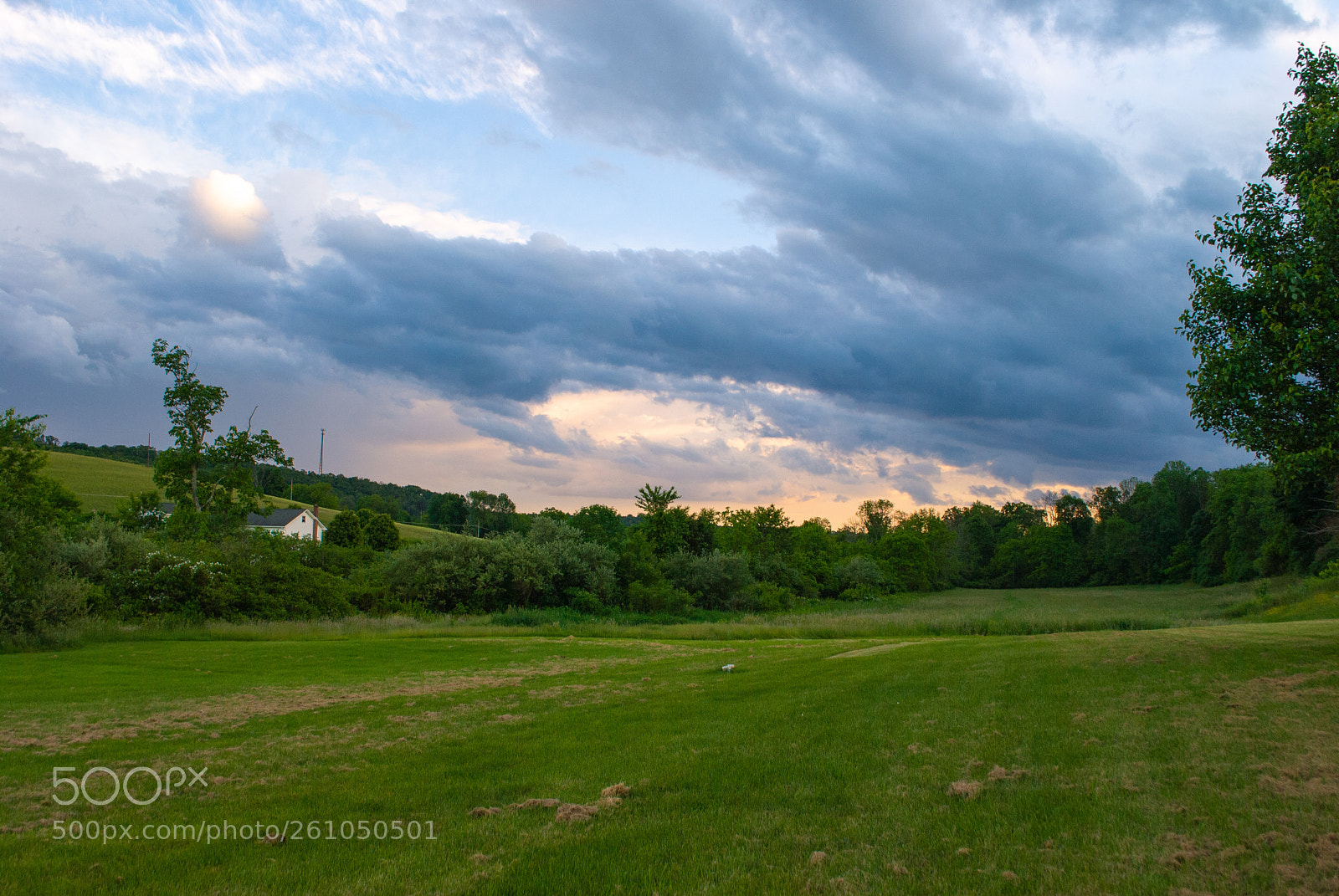 Nikon D3000 sample photo. Candy clouds photography