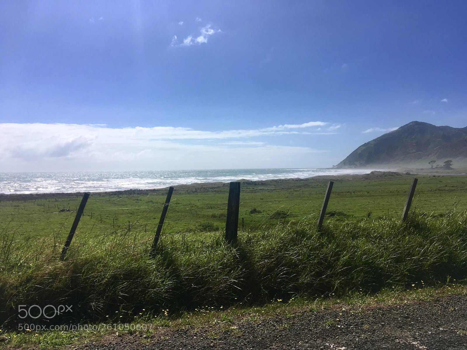 Apple iPhone SE sample photo. Coastal farm  photography