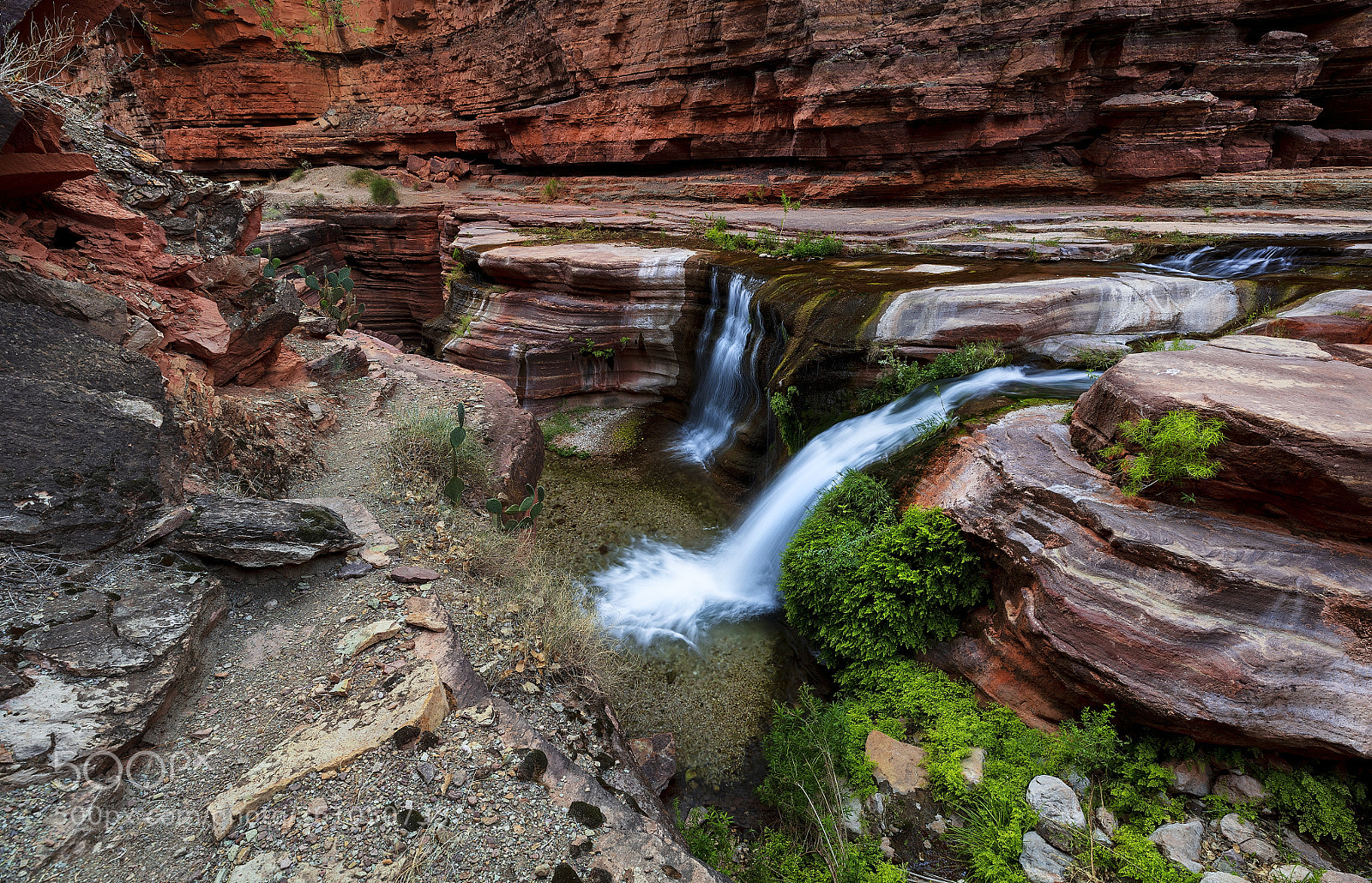 Canon EOS 5DS sample photo. Oasis photography