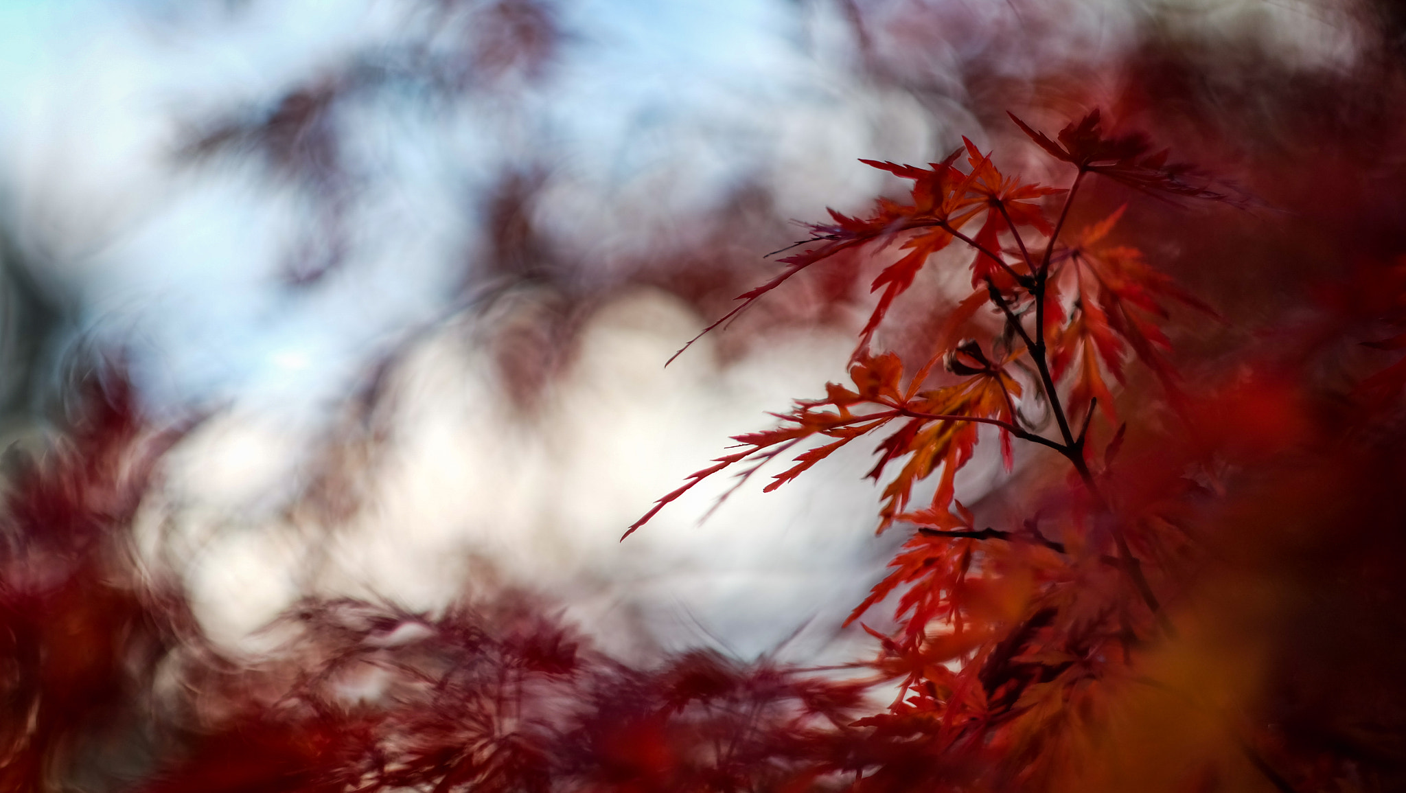Fujifilm X-A1 sample photo
