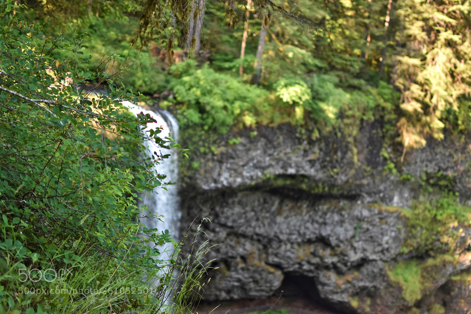 Nikon D3400 sample photo. Silver falls ii photography