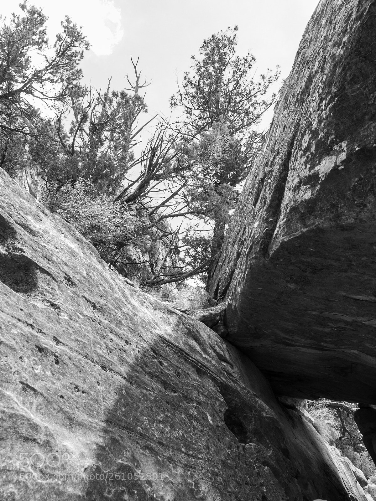 Olympus E-3 sample photo. Mesa verde naional park photography