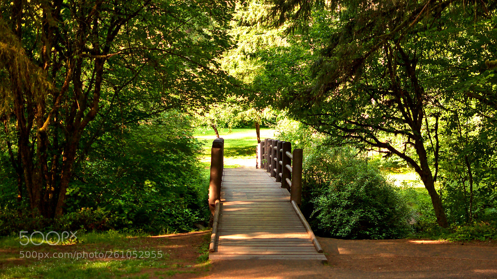 Nikon D3400 sample photo. Silver falls iii photography
