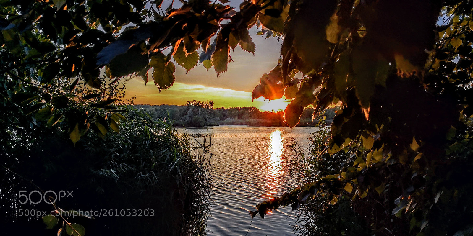 HUAWEI Mate 10 Pro sample photo. Light breeze by sunset photography
