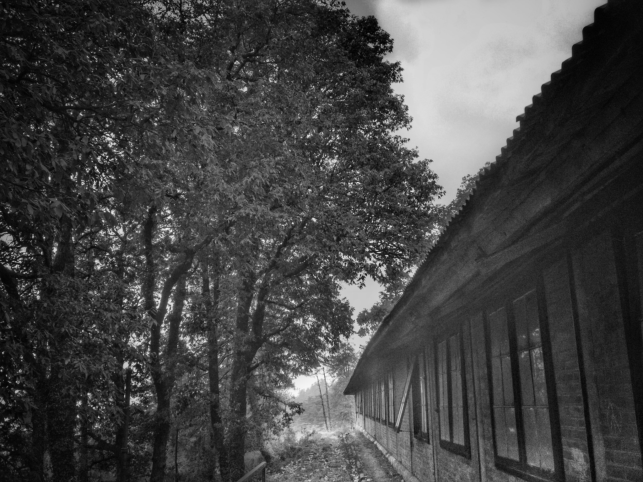Xiaomi Redmi 4 Pro sample photo. House in forest photography