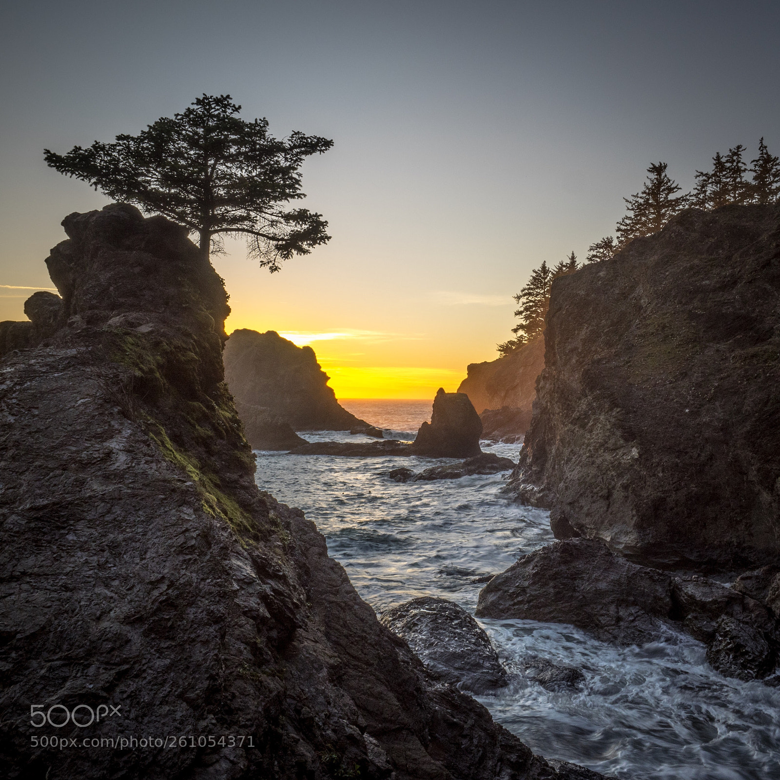 Olympus OM-D E-M1 sample photo. Oregon coast photography