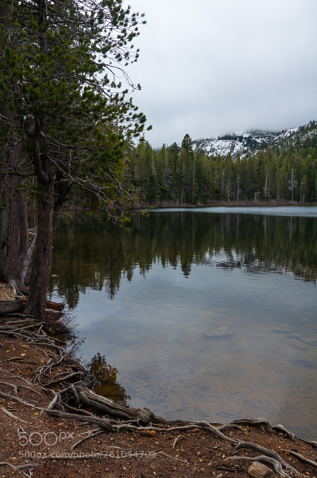 Nikon D90 sample photo. Fog covers the mountains photography