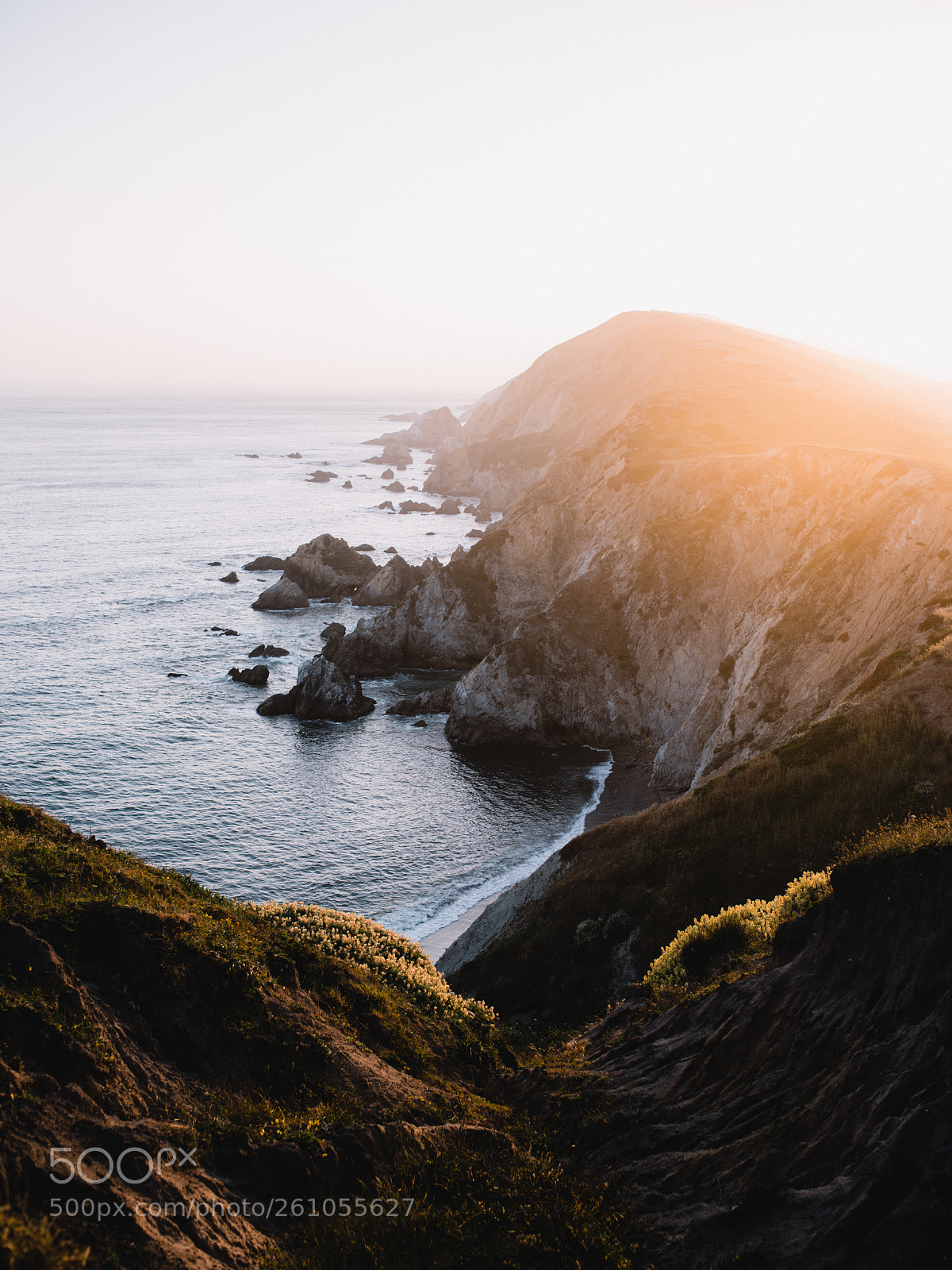 Nikon D750 sample photo. Point reyes photography