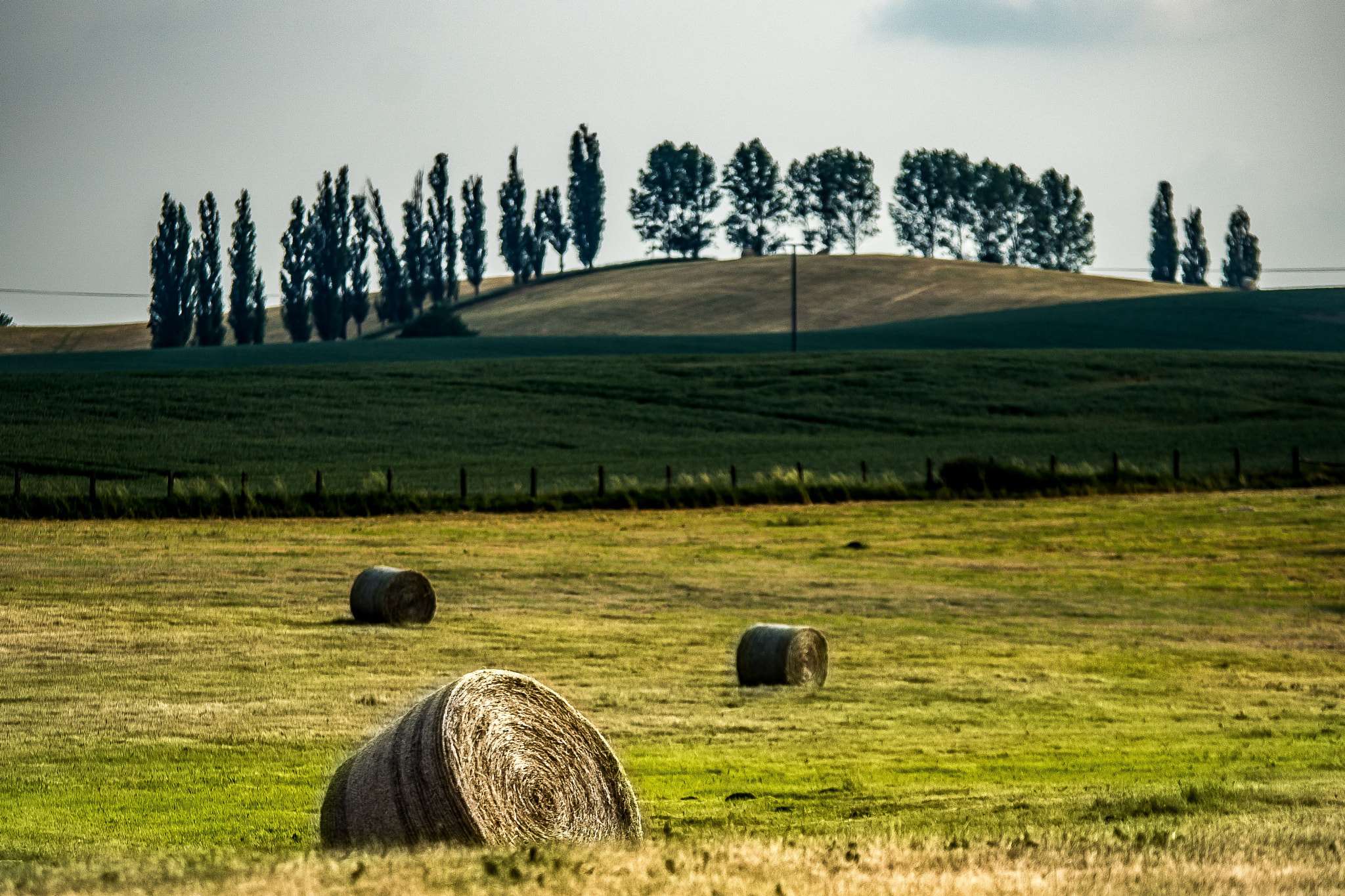 Sony a99 II sample photo. Toskana in mecklenburg photography