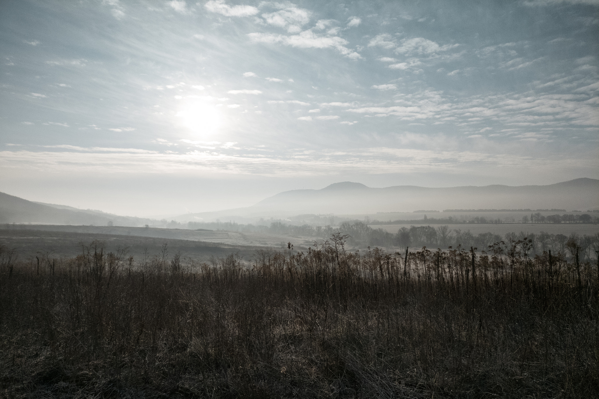 OnePlus A3003 sample photo. No. 52616 photography