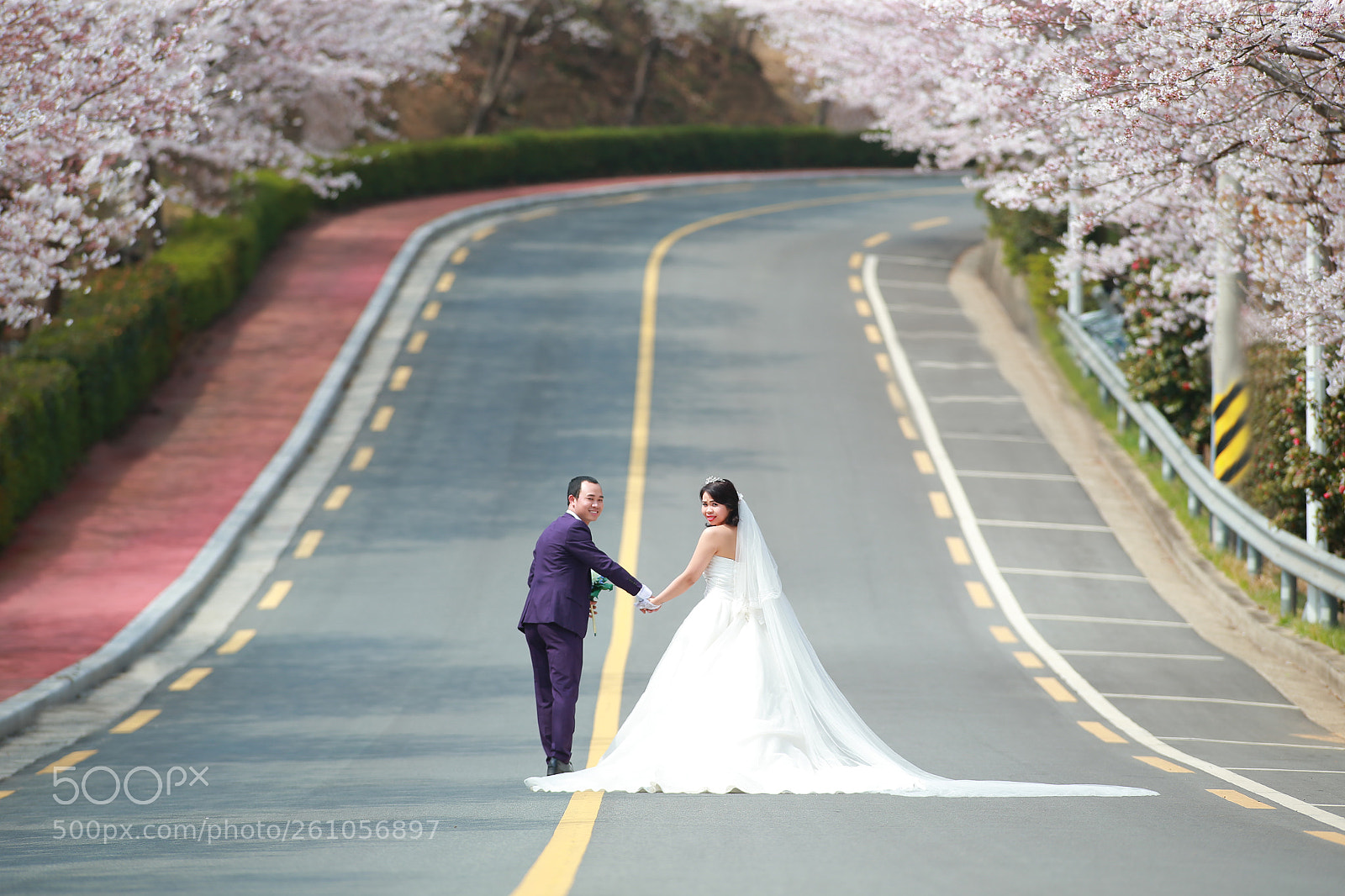 Canon EOS-1D X sample photo. Aaz photography