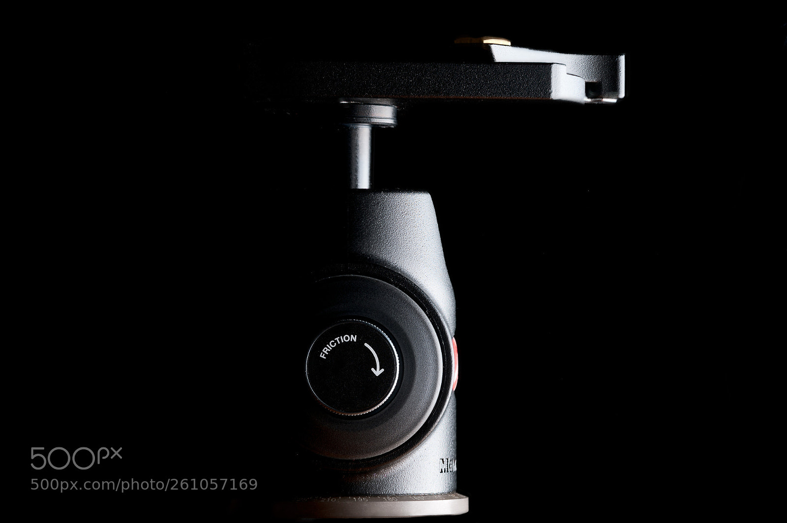 Nikon D700 sample photo. Ball head portrait photography