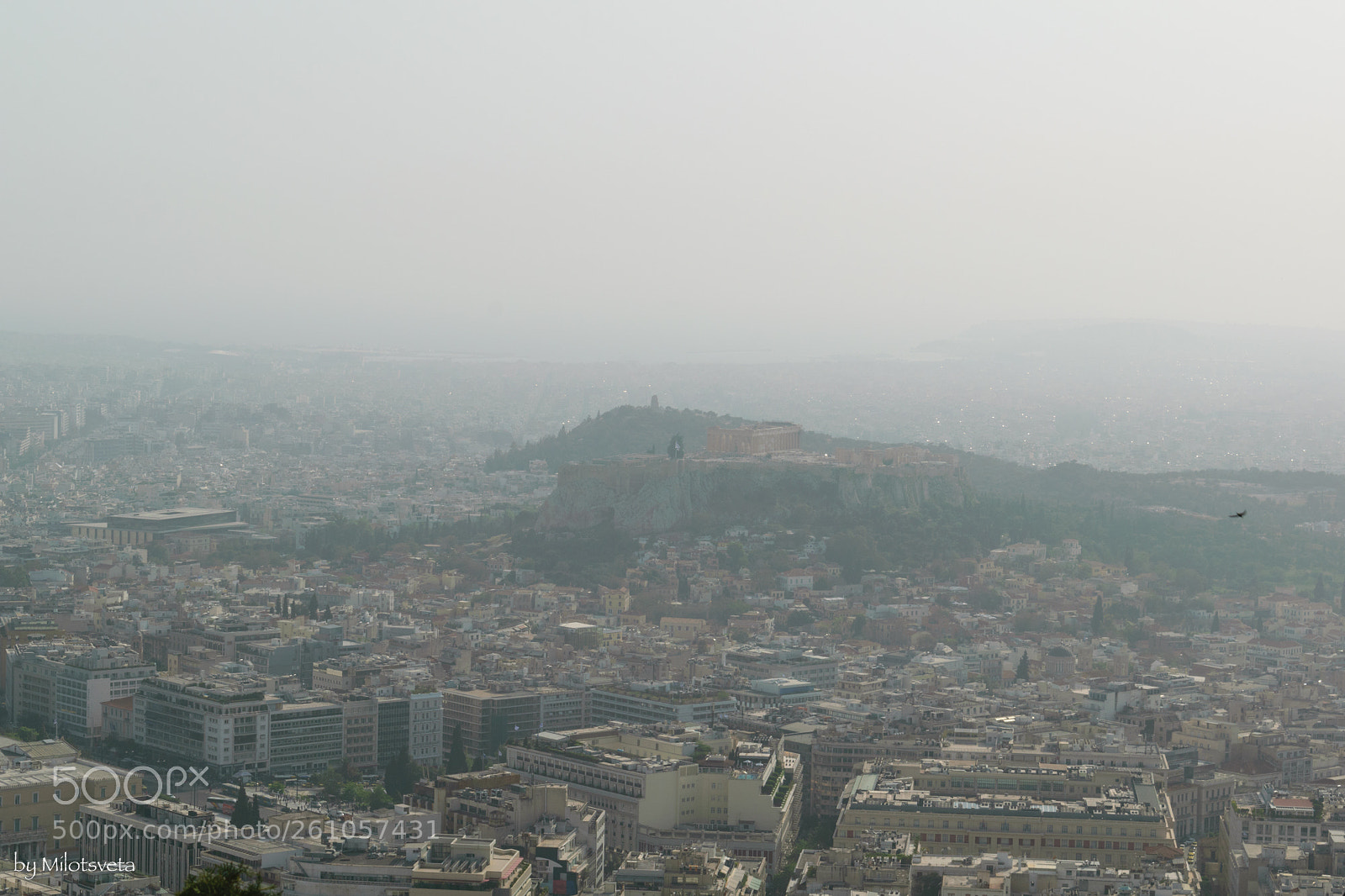 Nikon D3300 sample photo. View from the above photography