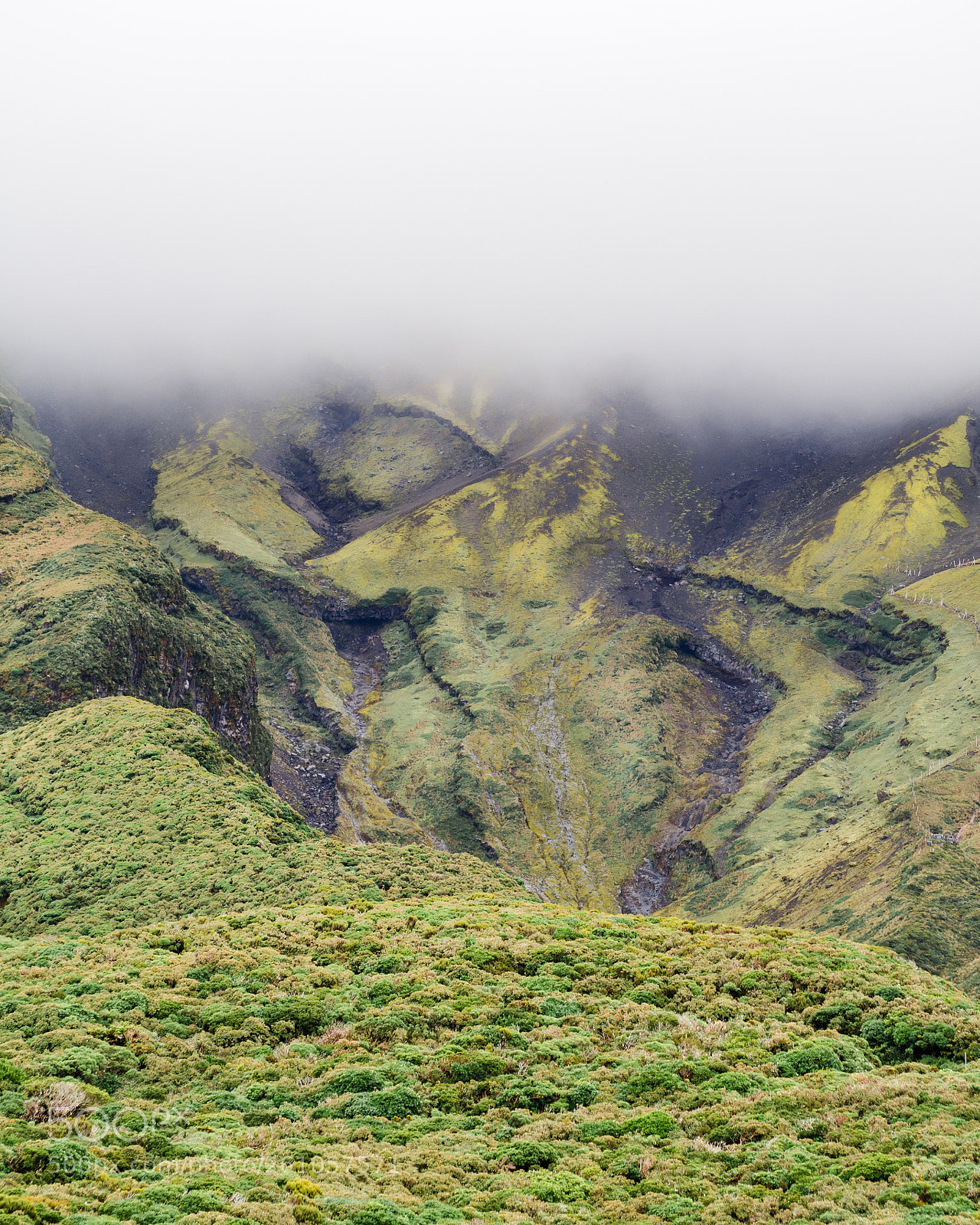 Olympus OM-D E-M10 II sample photo. Taranaki lines photography