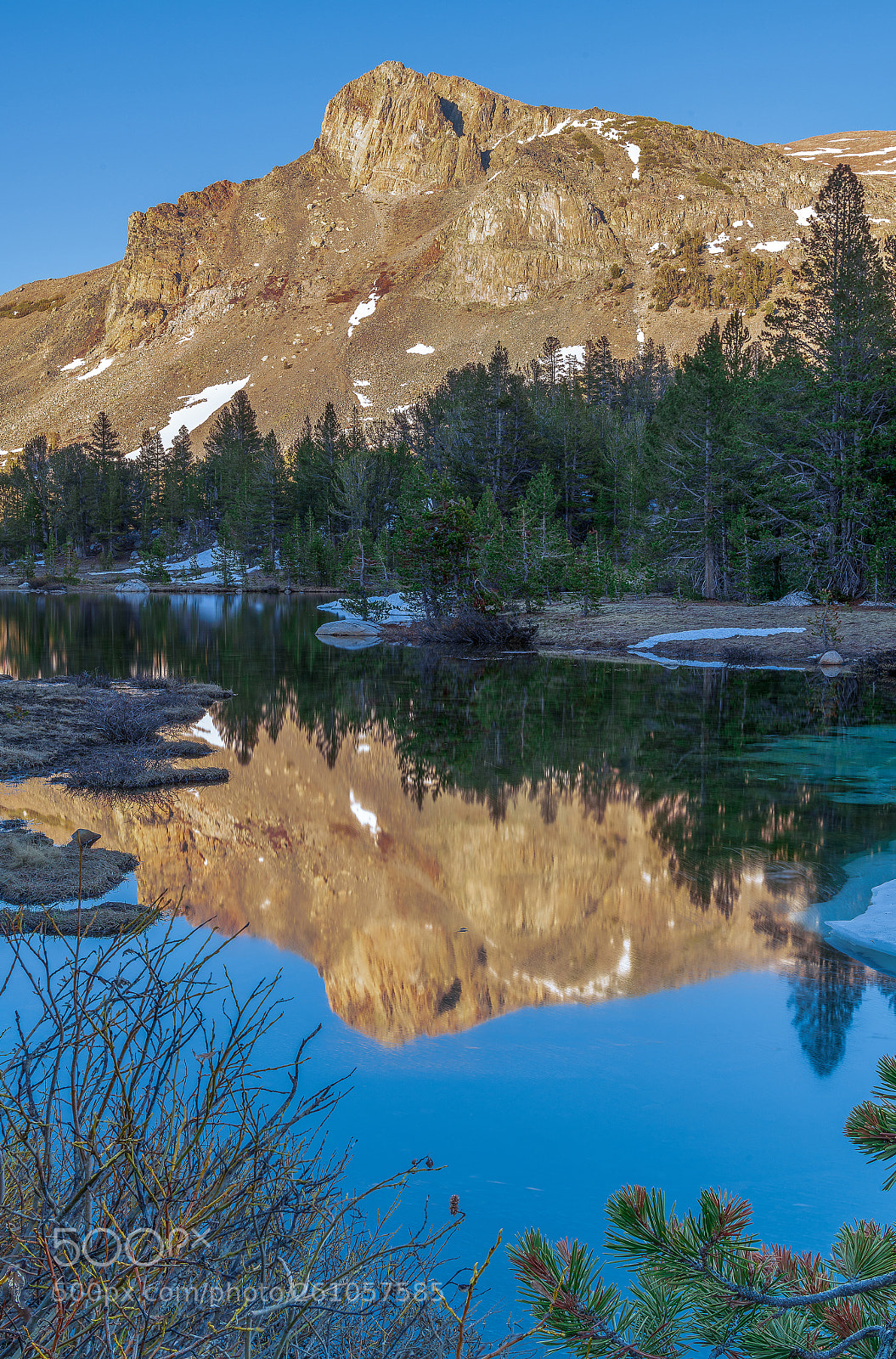 Nikon D850 sample photo. Mt dana, yosemite national photography