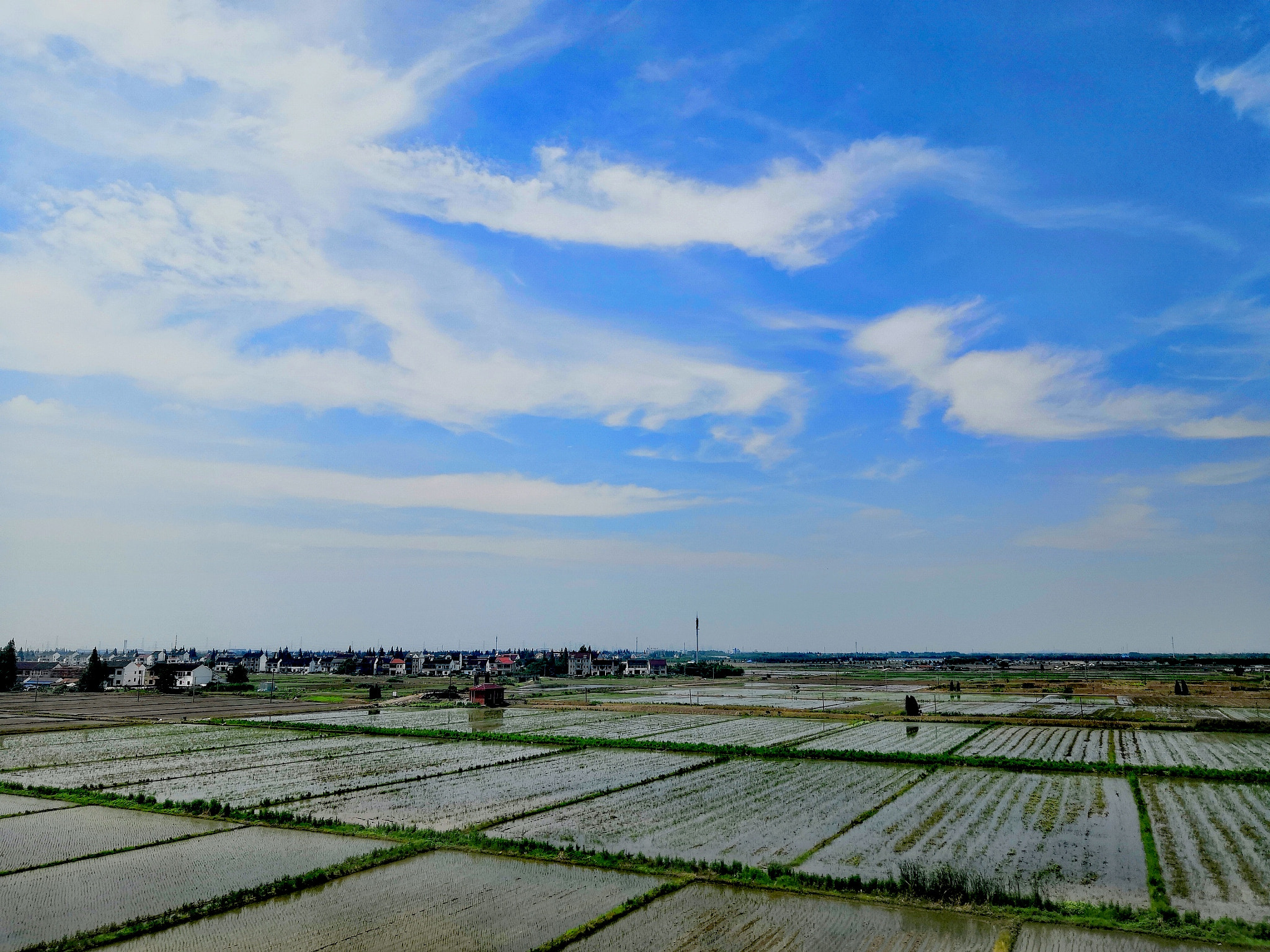 HUAWEI Honor 10 sample photo. Beautiful country scene

 photography