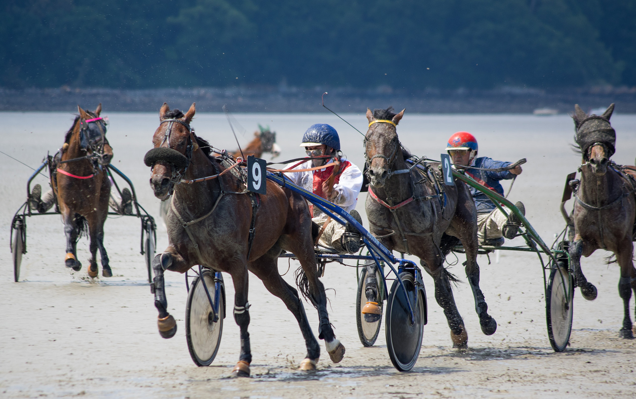 Pentax K-3 II sample photo. Trot attelé sur la plage photography