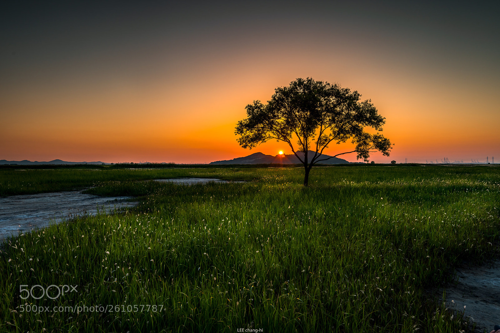 Nikon D810 sample photo. Sunset photography