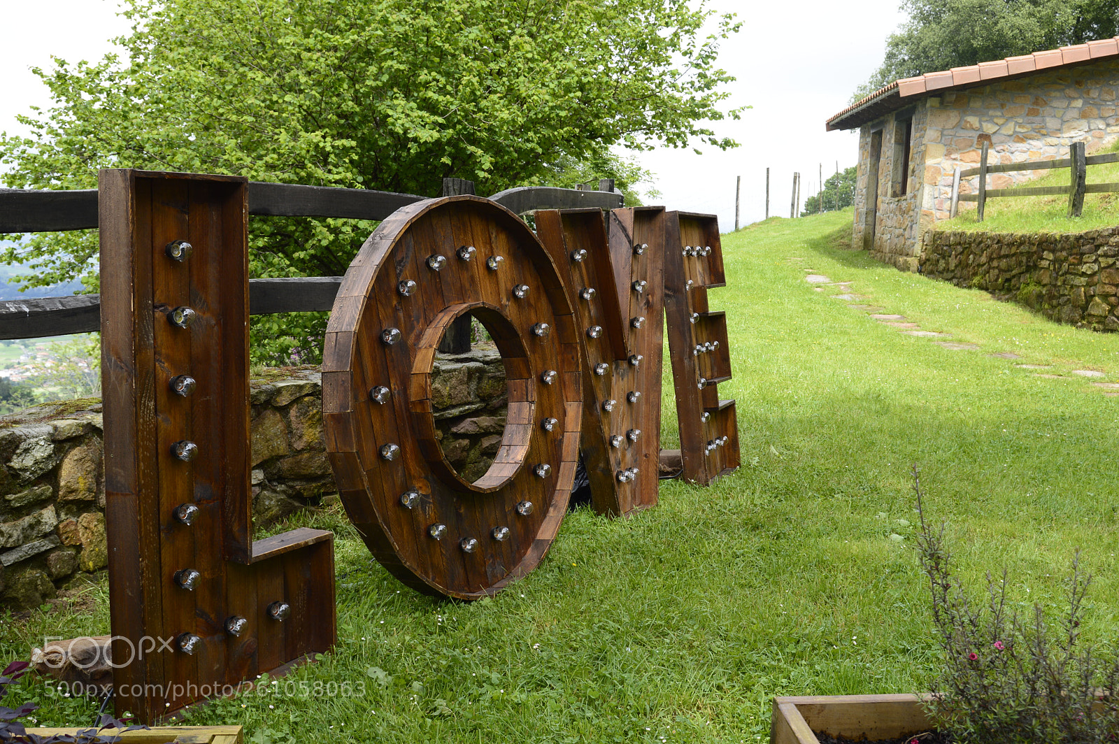 Nikon D3200 sample photo. All you need is... photography