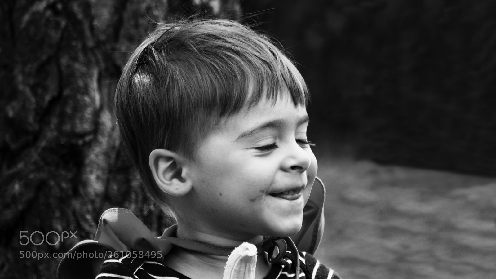 Nikon D3400 sample photo. Life is happy in photography