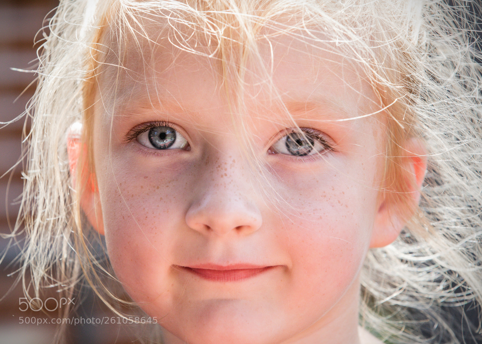 Canon EOS 5D Mark IV sample photo. Elfin photography