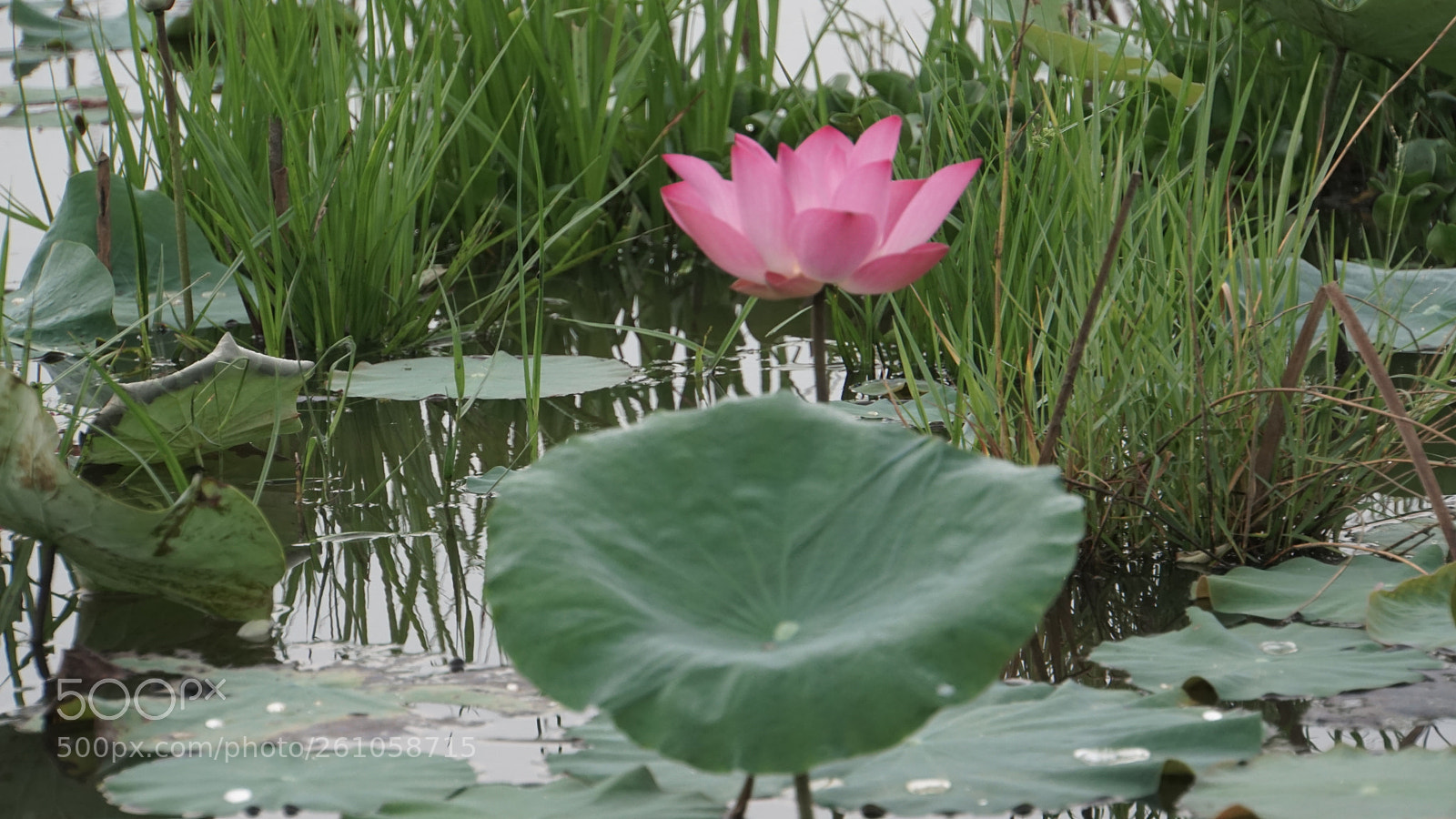 Sony a6000 sample photo. Sen photography