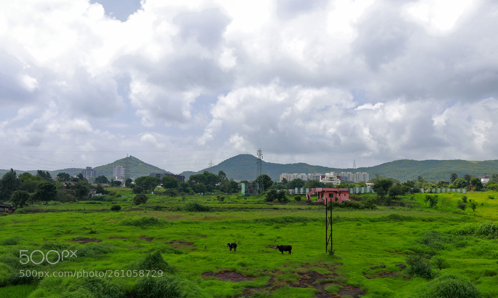 Canon EOS 80D sample photo. Untitled photography