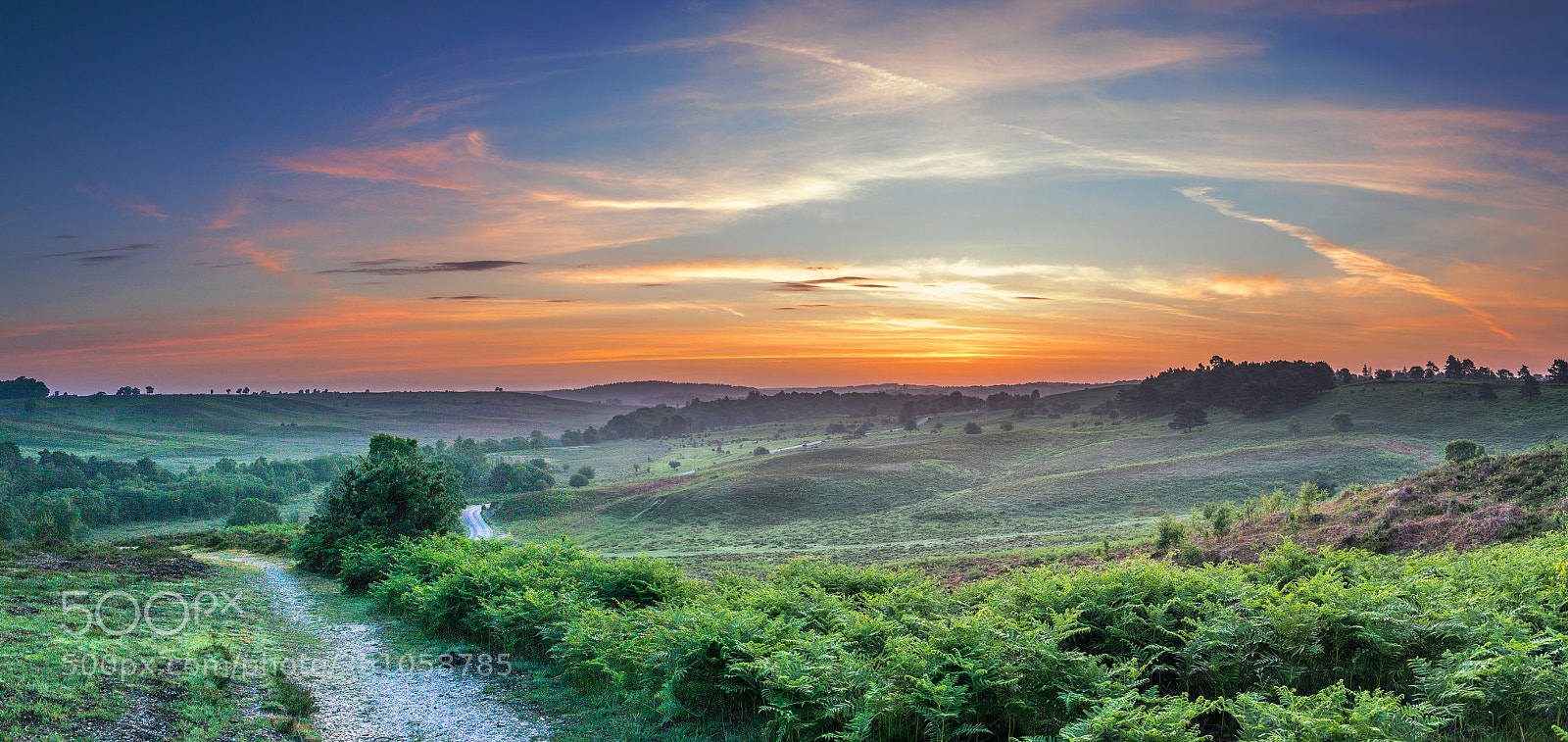 Canon EOS 5D Mark IV sample photo. Bracken morning photography