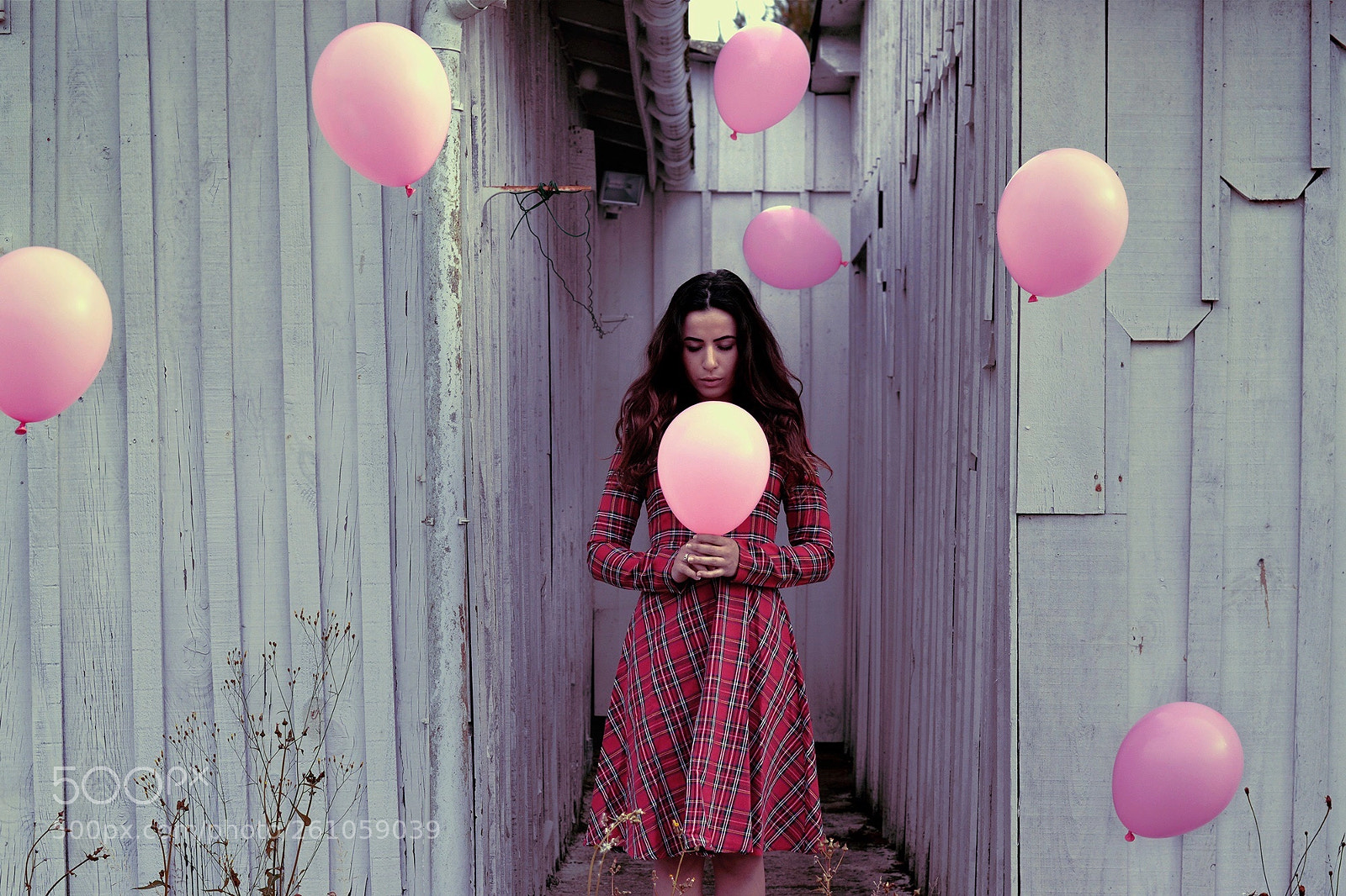 Nikon D800 sample photo. Ballons photography
