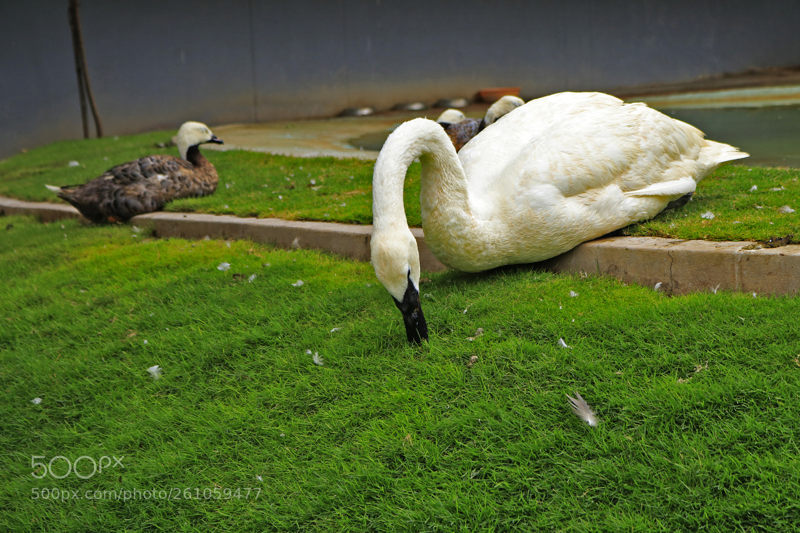 Canon EOS 80D sample photo. Untitled photography