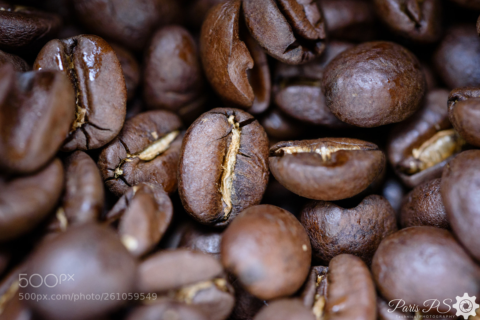 Nikon D750 sample photo. Beans photography