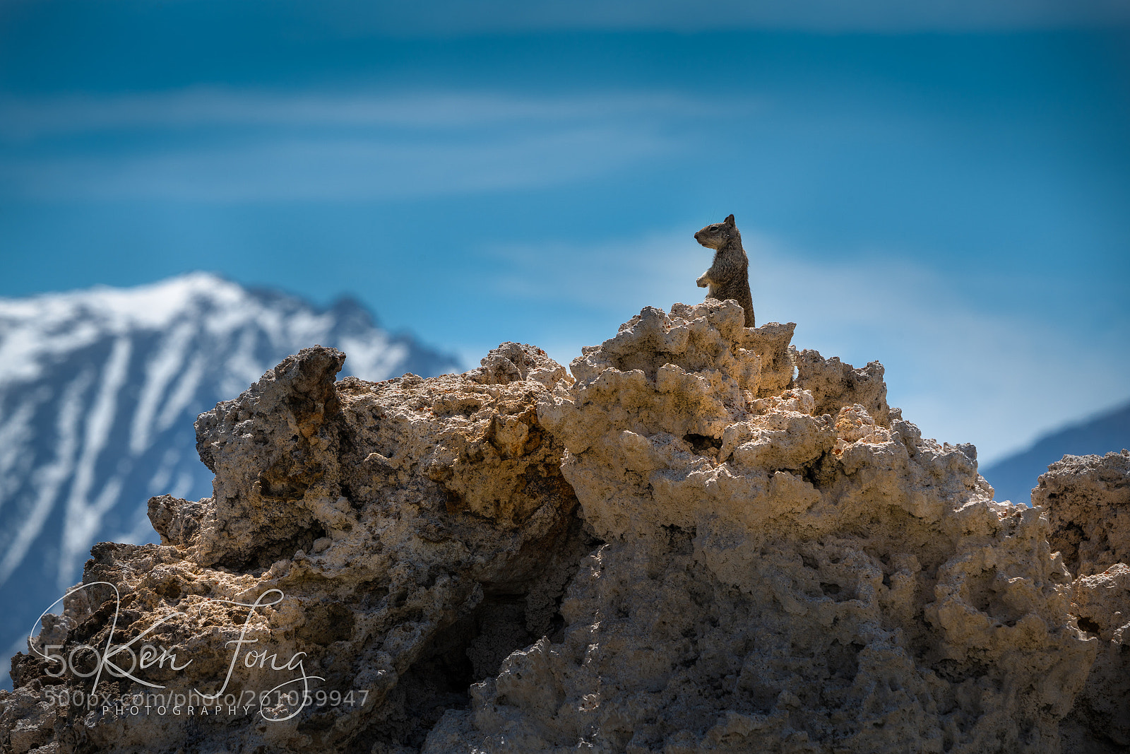 Sony a7R III sample photo. The tufa king photography