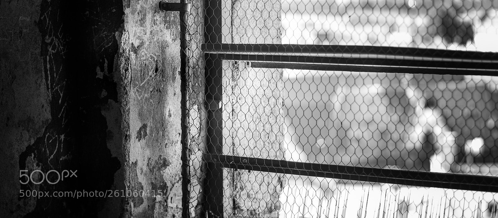 Fujifilm X-T2 sample photo. Hearts photography