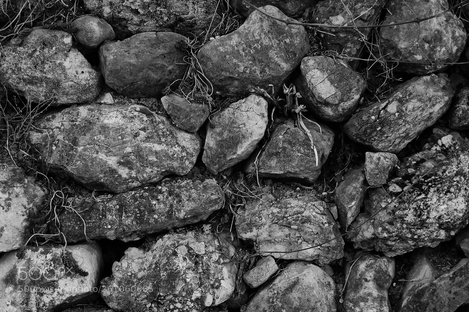 Nikon D40 sample photo. Vida y piedras photography