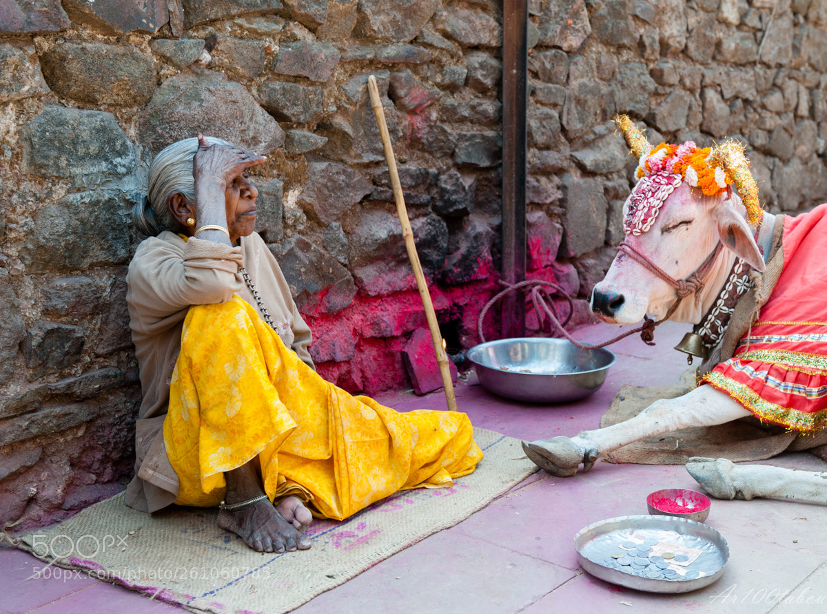 Nikon D700 sample photo. Holy photography
