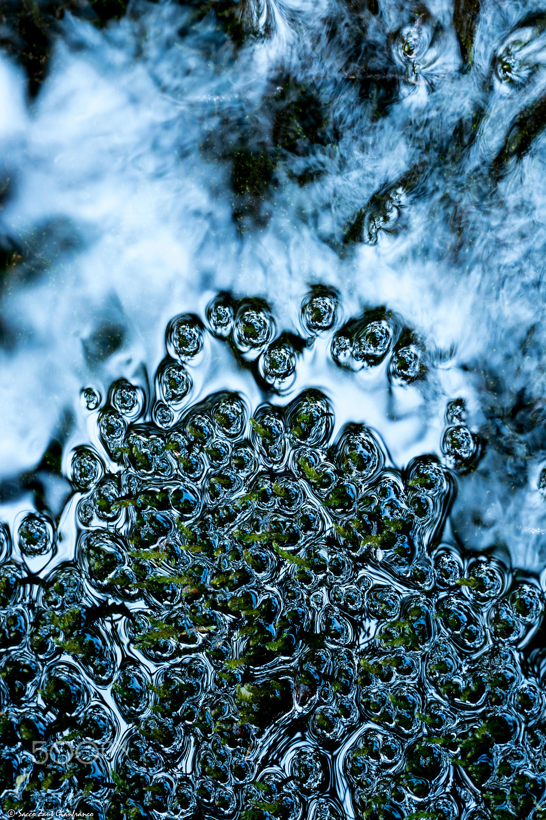 Leica V-Lux (Typ 114) sample photo. Reflections fractal photography