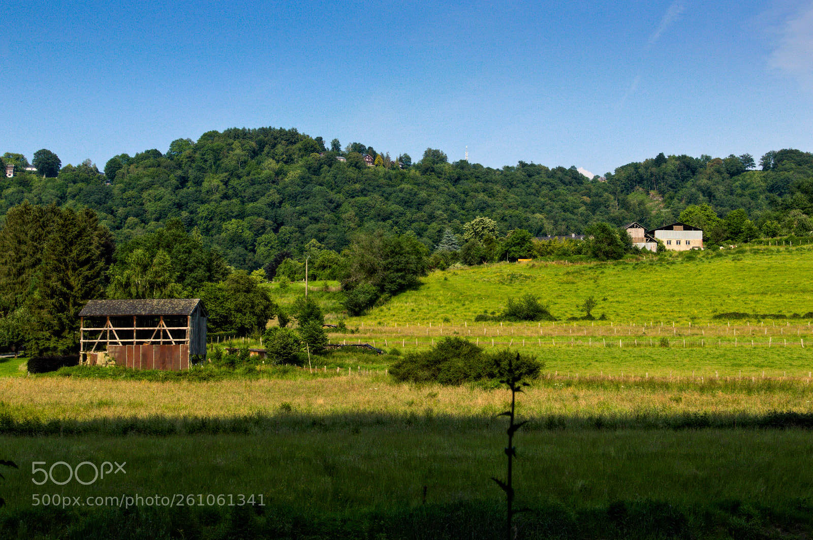 Nikon D3200 + Nikon AF-S DX Nikkor 35mm F1.8G sample photo. Semois photography