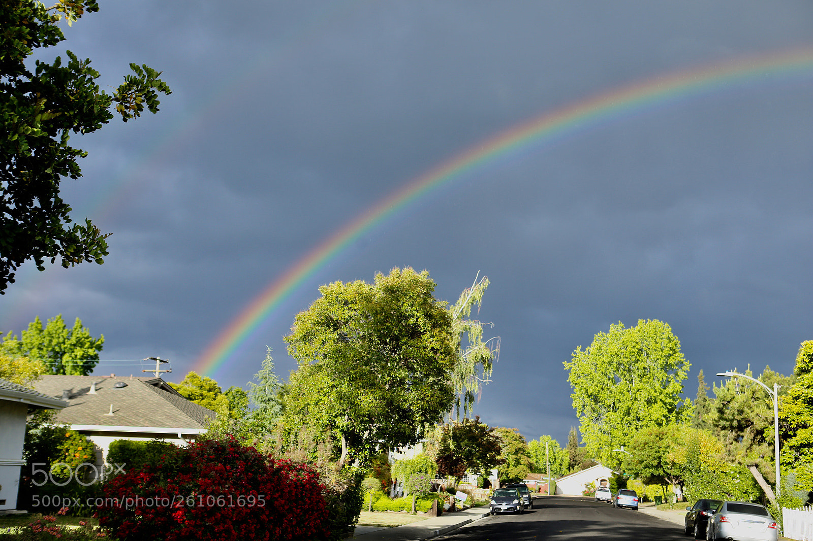 Canon EOS 6D sample photo. Untitled photography