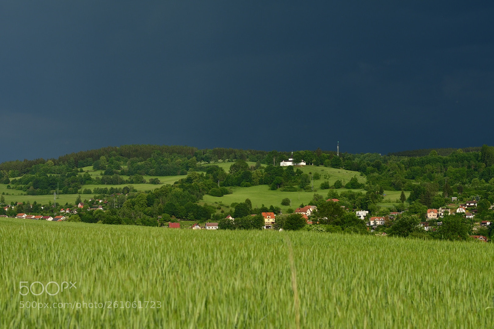 Nikon D500 sample photo. Untitled photography