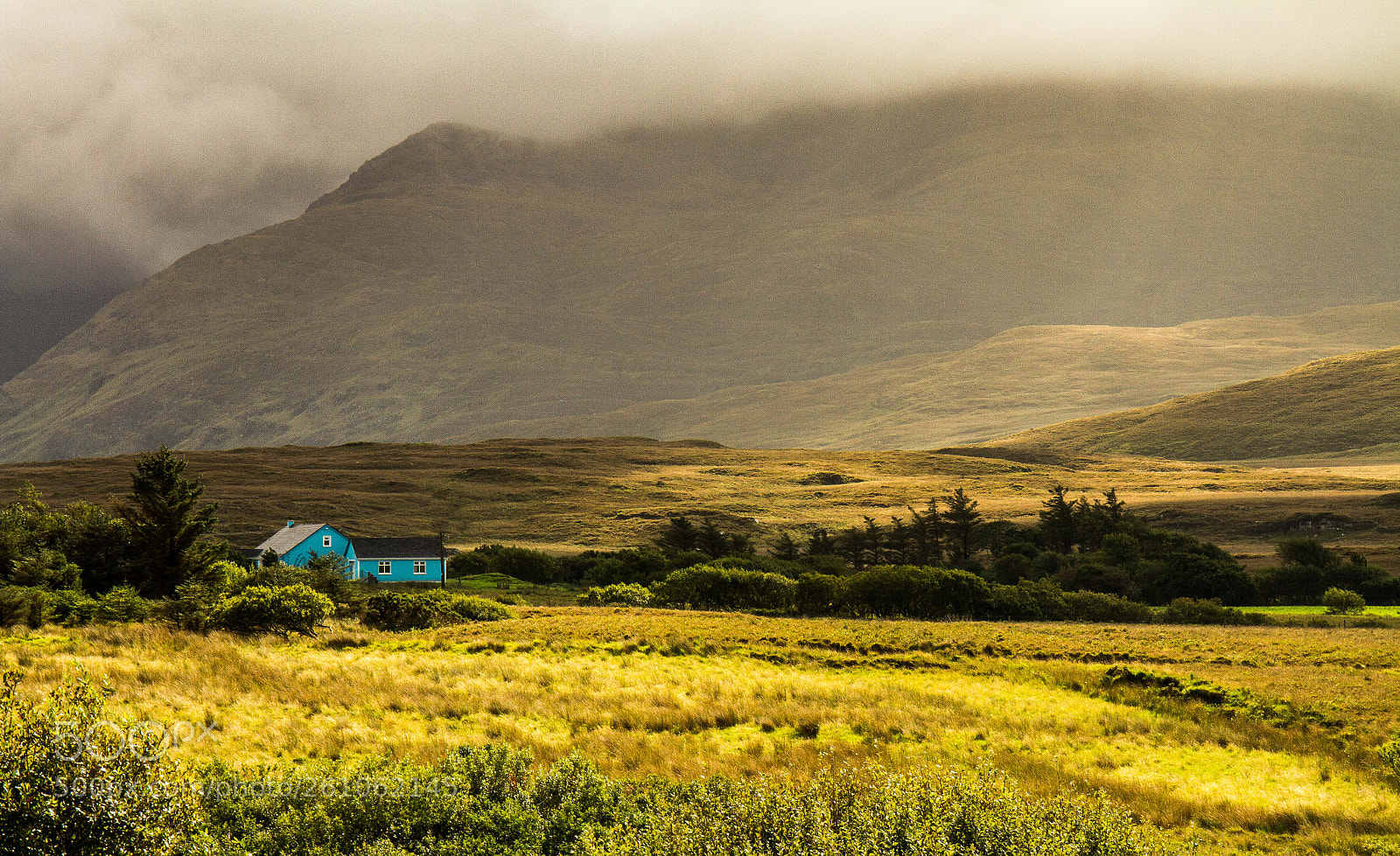 Canon EOS 7D sample photo. Blue house photography