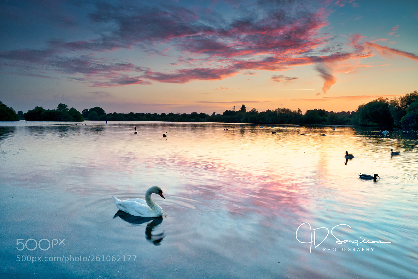 Sony a7 III sample photo. Sunset swan lake photography