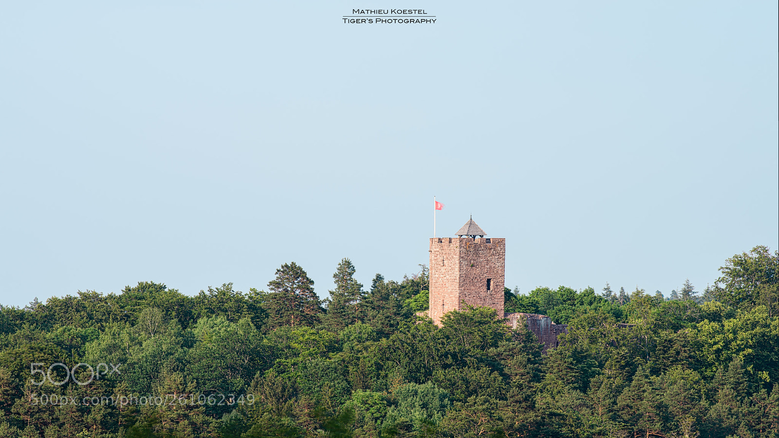 Nikon D500 sample photo. Wangenbourg castle photography