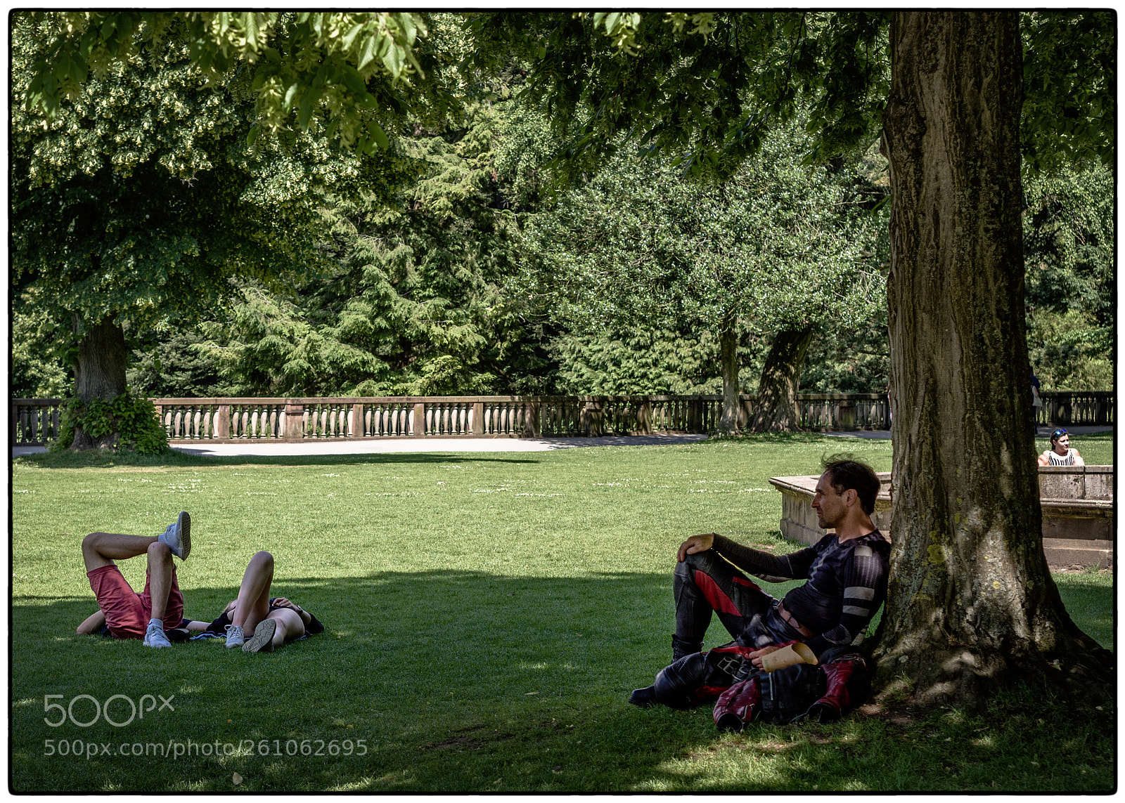 Olympus OM-D E-M10 II sample photo. Under the tree photography